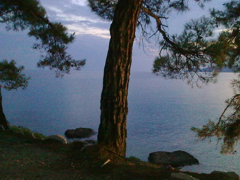 Slika