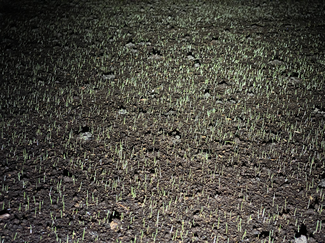 7F064D0D-0F09-41FB-BA25-65FFB087D639