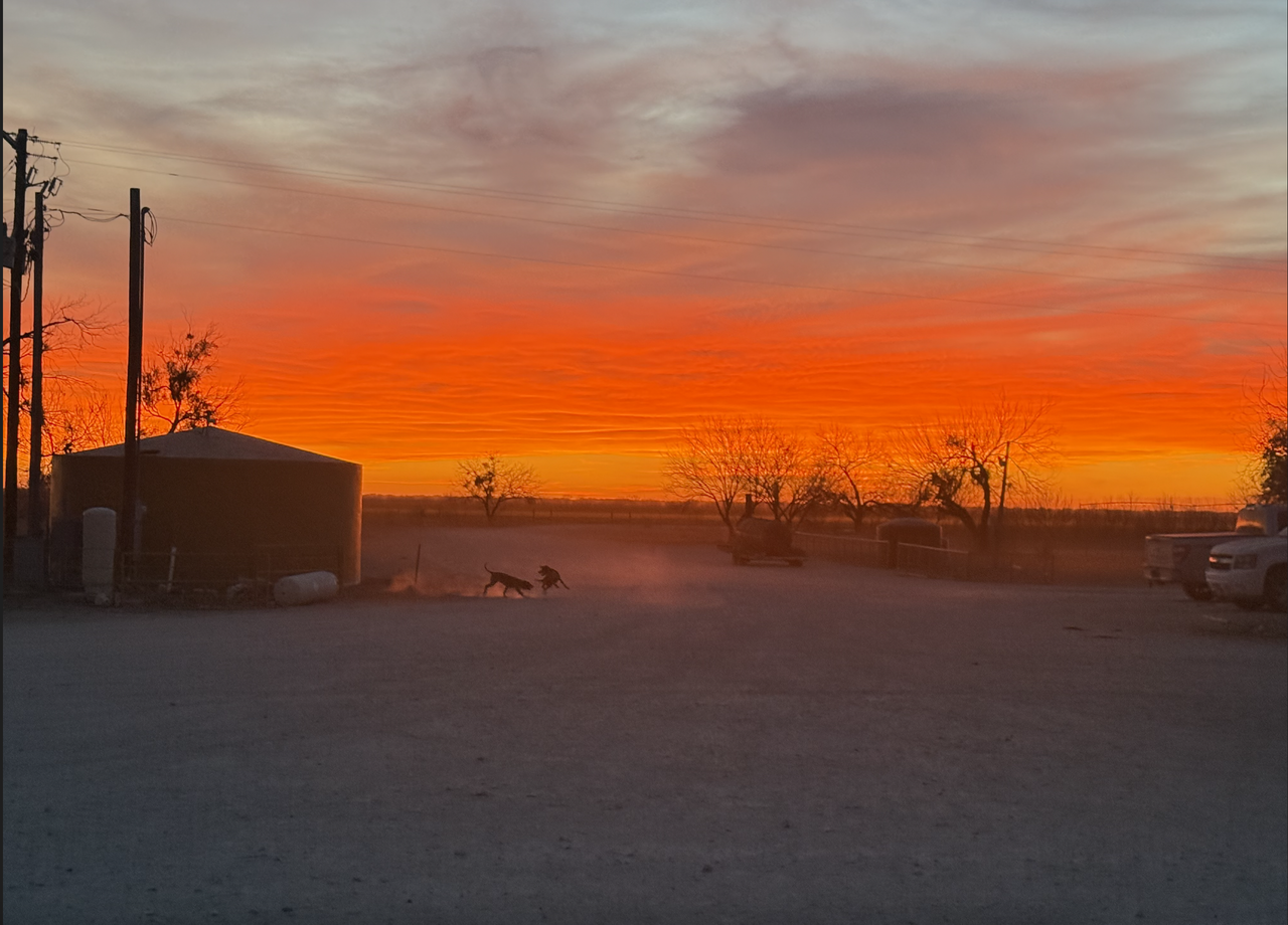 Screen Shot 2026 03 01 at 6 47 54 PM