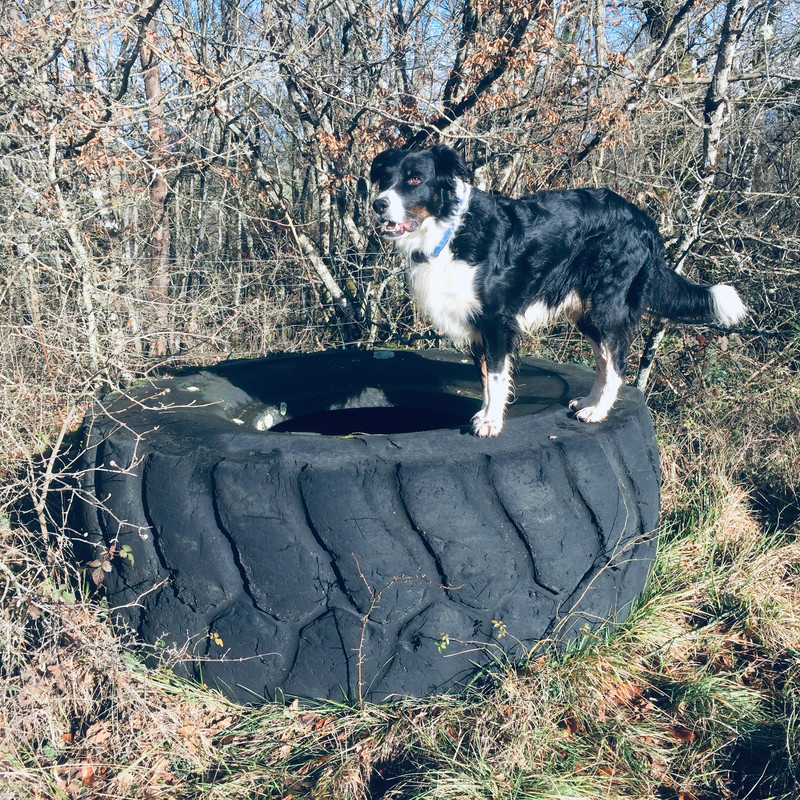 5AC07A9C-3E74-463E-A1F2-9F47F56C5847