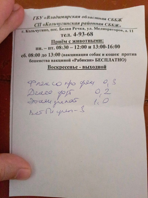 кошка назначения кольчугино