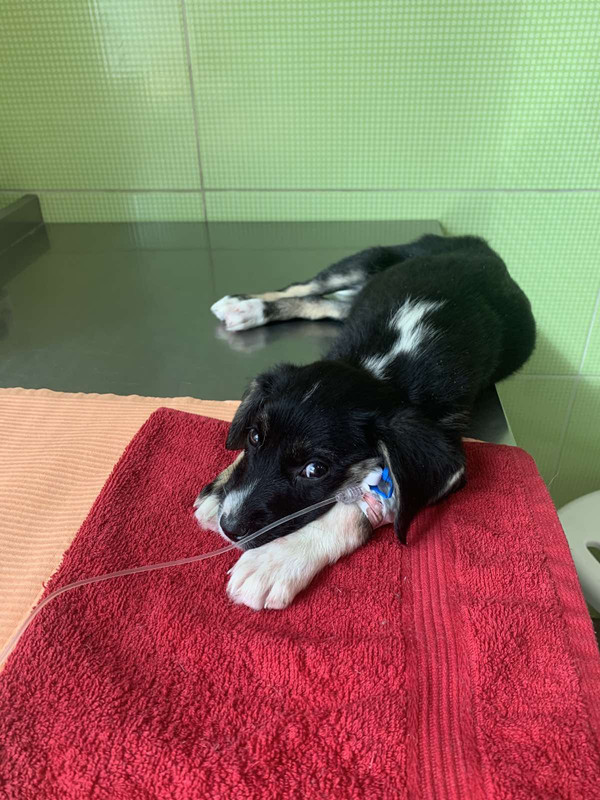 IMG-f53e9e682bb6fa3ca2e5cf8ee634baf3-V