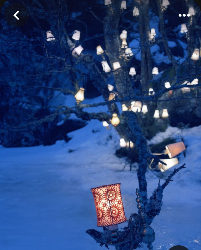 Screenshot_20231118_200413_Pinterest