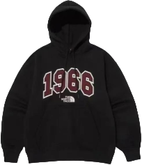 The North Face Sudadera con Capucha