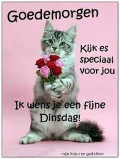 dinsdag-download-4