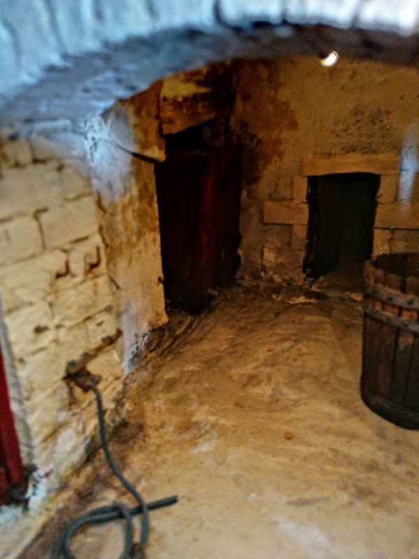 1/24. Sortie de cave en Rabelaisie 1956,, échelle 1/24 IMG-20220401-161909