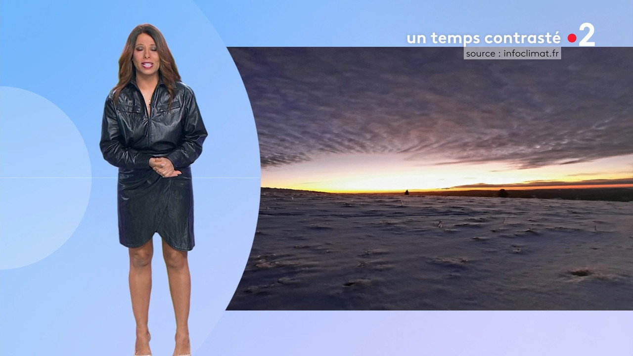 2022-01-29_12_50_Fr2_Meteo.mp4_snapshot_10.51.700