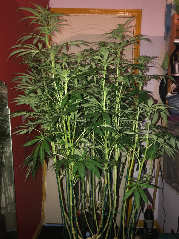 C00E402C-783D-469E-A033-2475AA950B6E