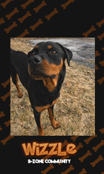 wizzle.png