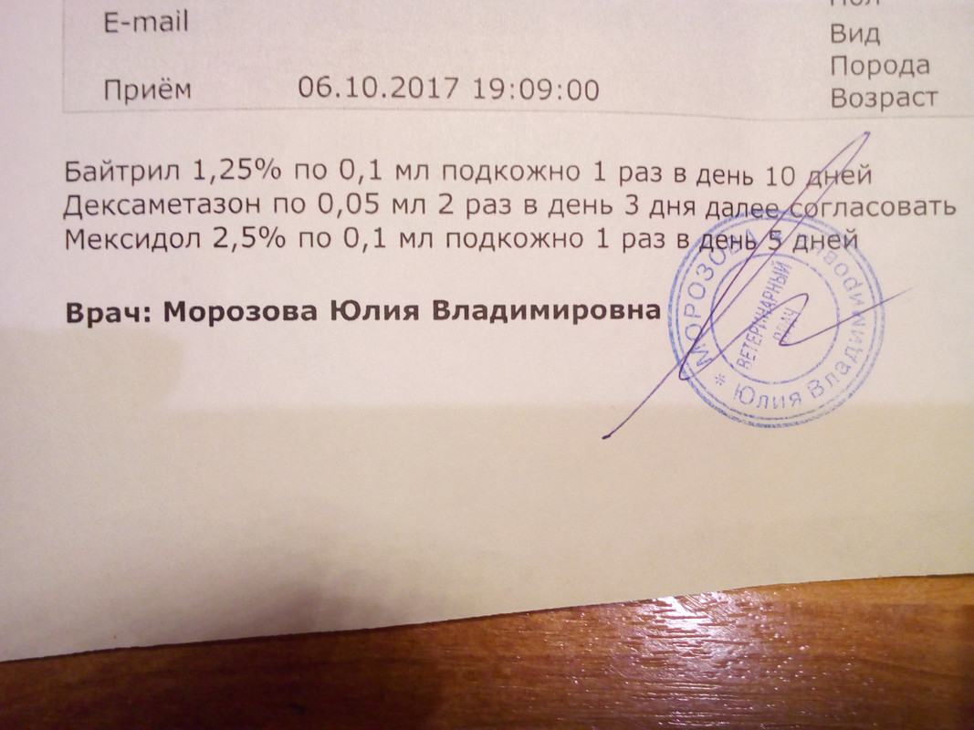 15073137739801036029385