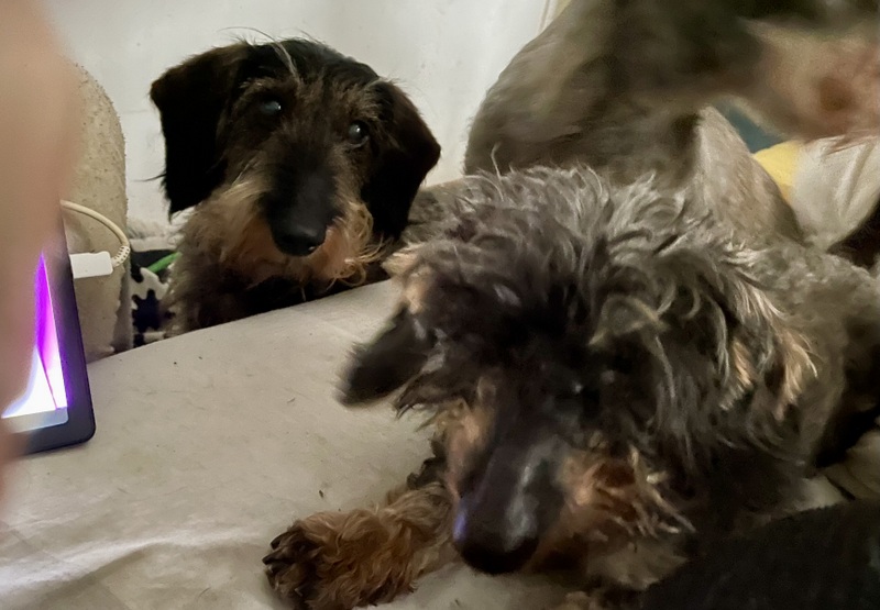 [Image: IMG-1360.jpg]