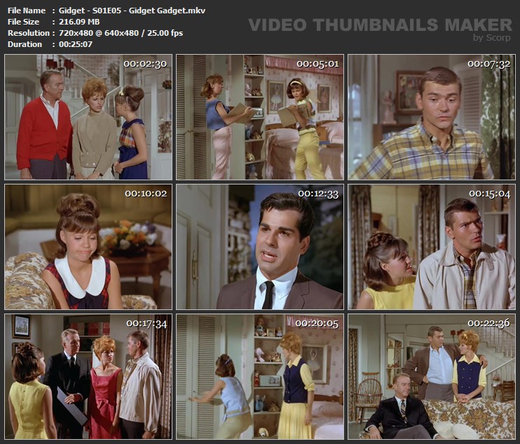 Gidget - S01E05 - Gidget Gadget.mkv