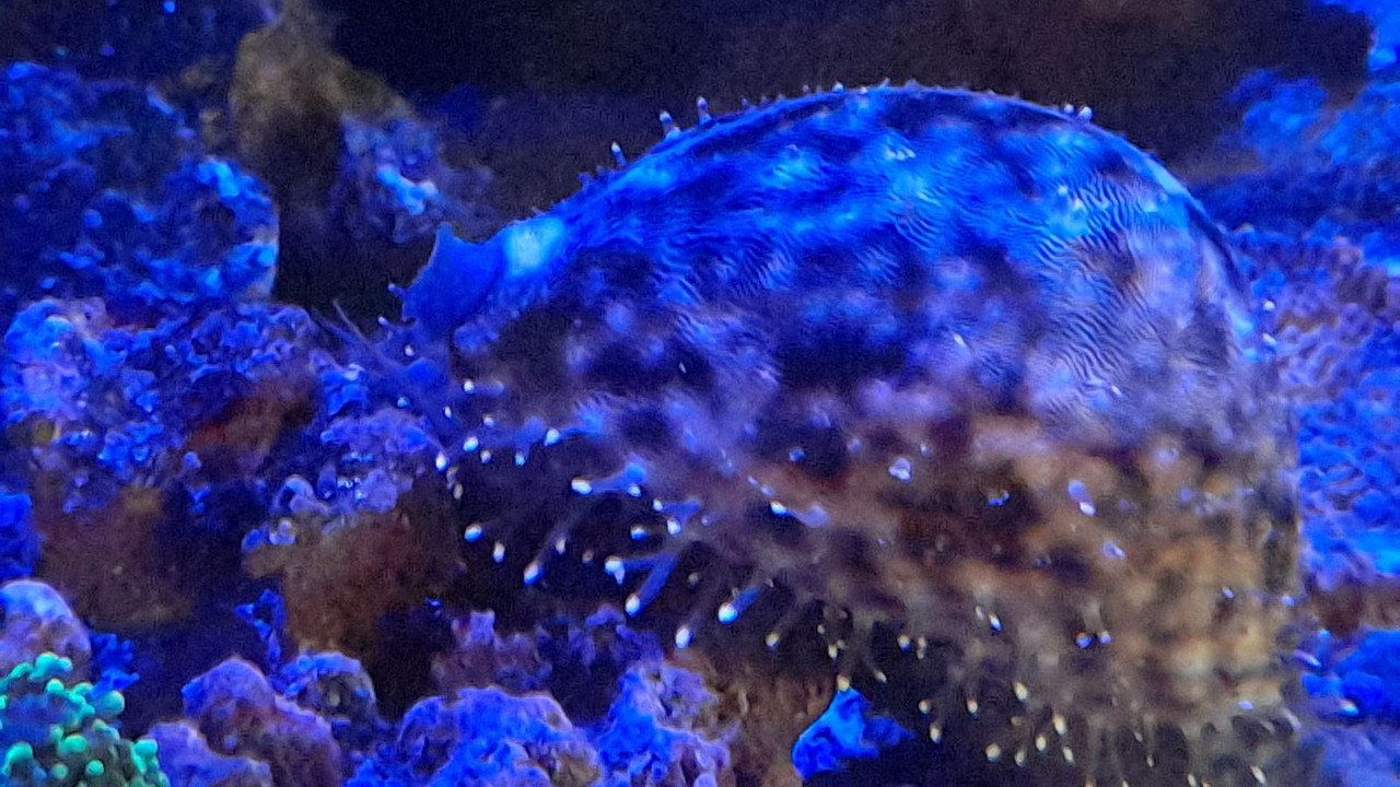 изображение_viber_2021-08-08_08-29-53-590