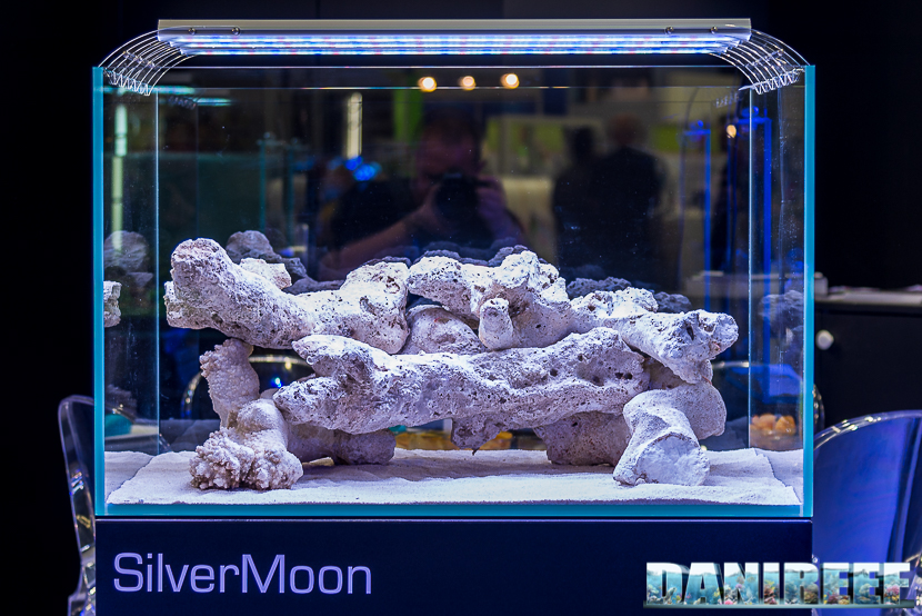201805-gnc-interzoo-silver-moon-16-Copyright-by-DaniReef (1)
