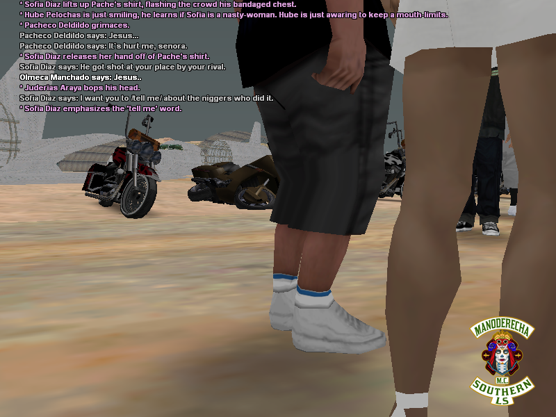 SSRoleplay668.png