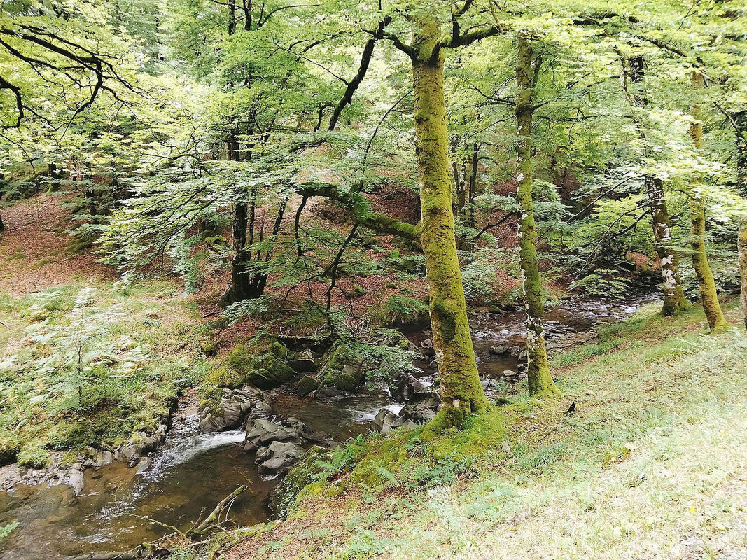 12 artesiaga IMG20210801135105