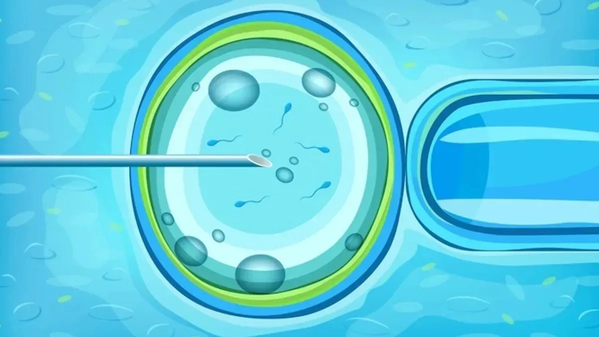 Científicos logran crear embriones humanos artificiales de 14 días