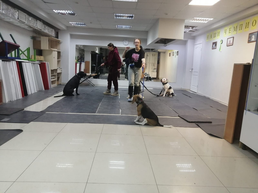 88DC0E6E-7B27-4F3A-80FF-F15566F0132B