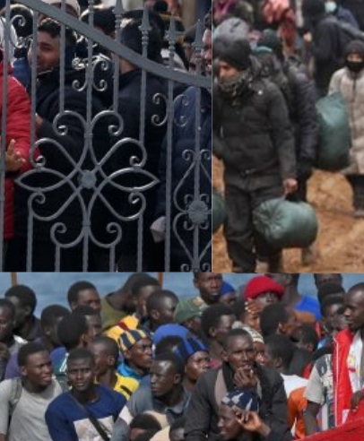 
Warum sind so viele Menschen arabischer Herkunft in Deutschland schlecht gebildet?