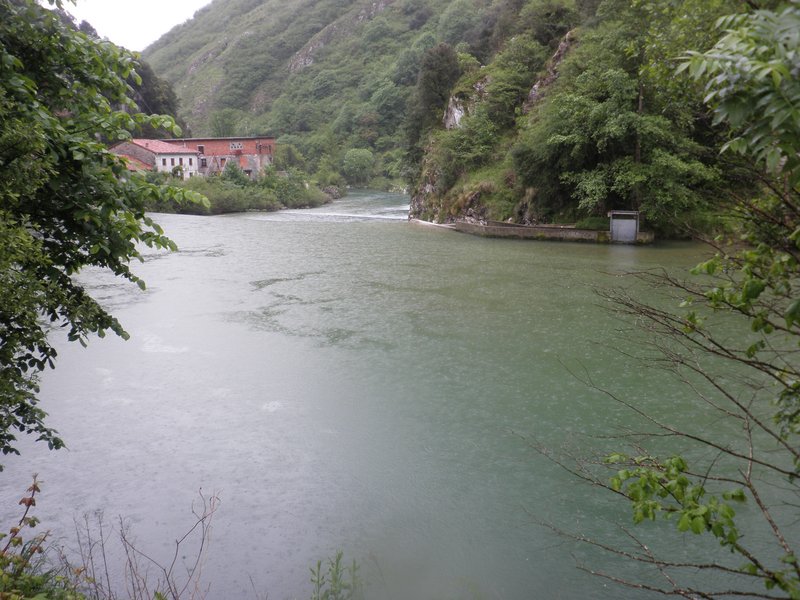 PICOS DE EUROPA-16-5-2013-LEON/ASTURIAS/CANTABRIA - Paseando por España-1991/2016 (79)
