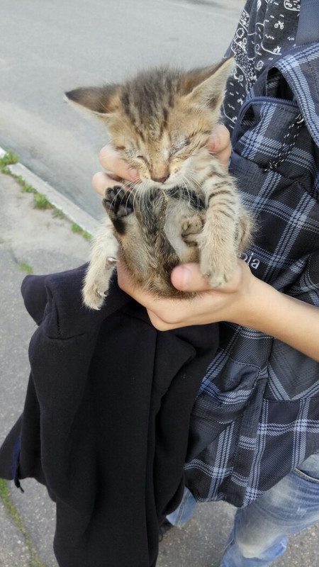 2EED029A-75DF-4708-BB58-BA90452D148C