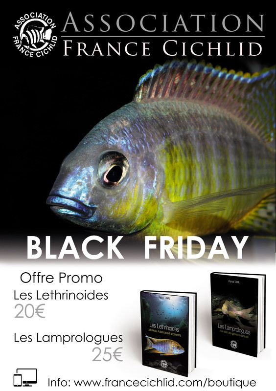 WhatsApp Image 2021-11-23 at 20.04.00 (1)