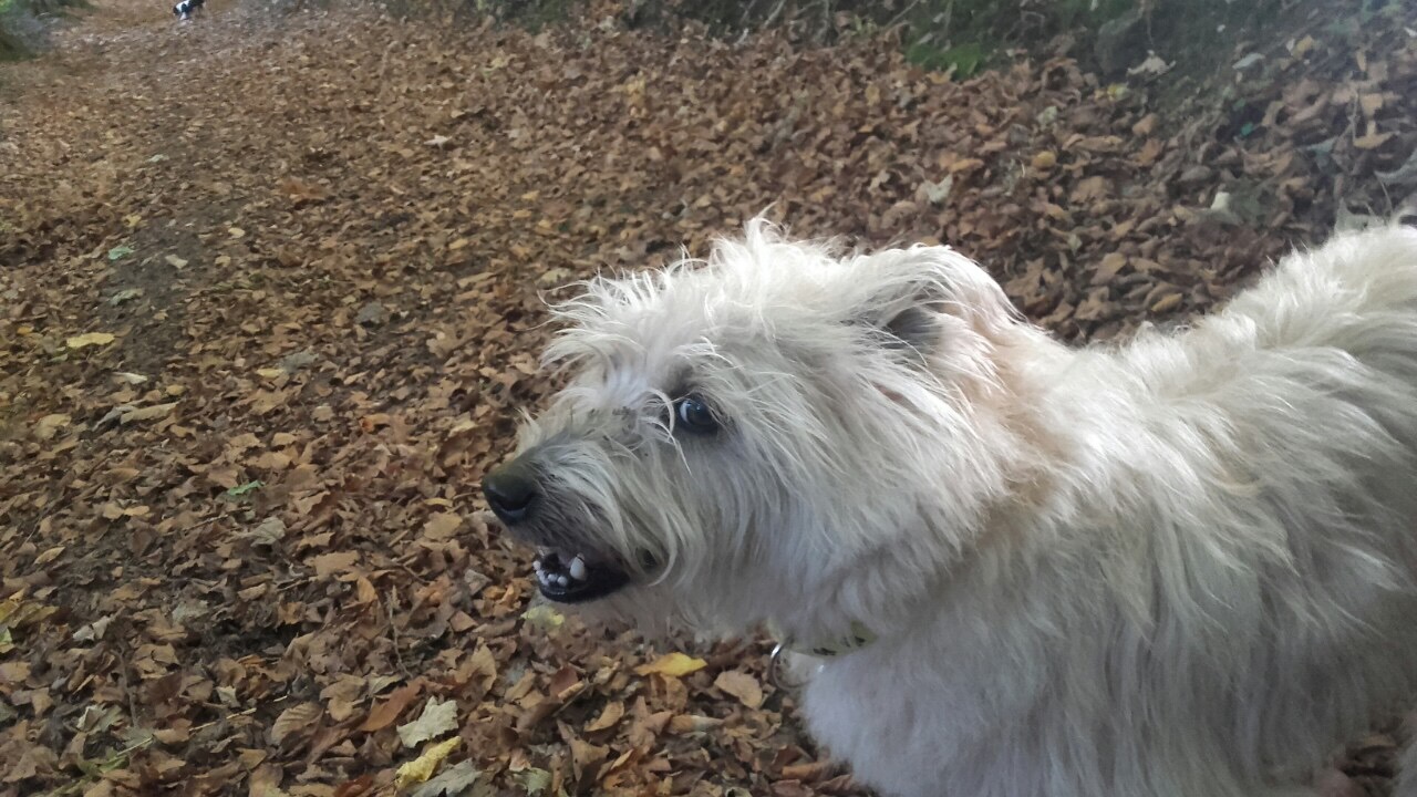 F643FBD9-BD7F-43EA-A734-2BADDE6BAEAF