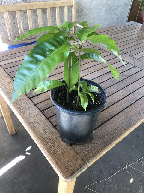 177F11C1-8FB3-45F5-81AD-4C42581AE4D4