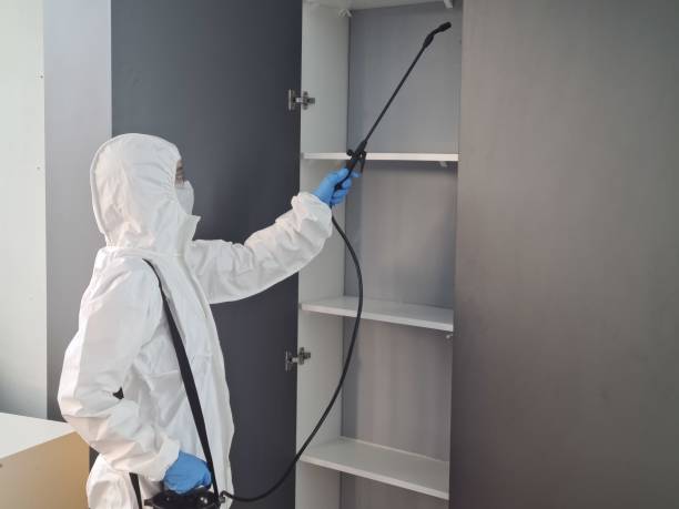 Orlando Termite Treatment