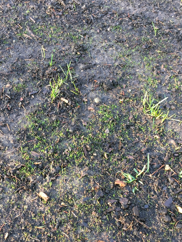 C1D129D0-09DA-4A8F-95C5-0946669974A8