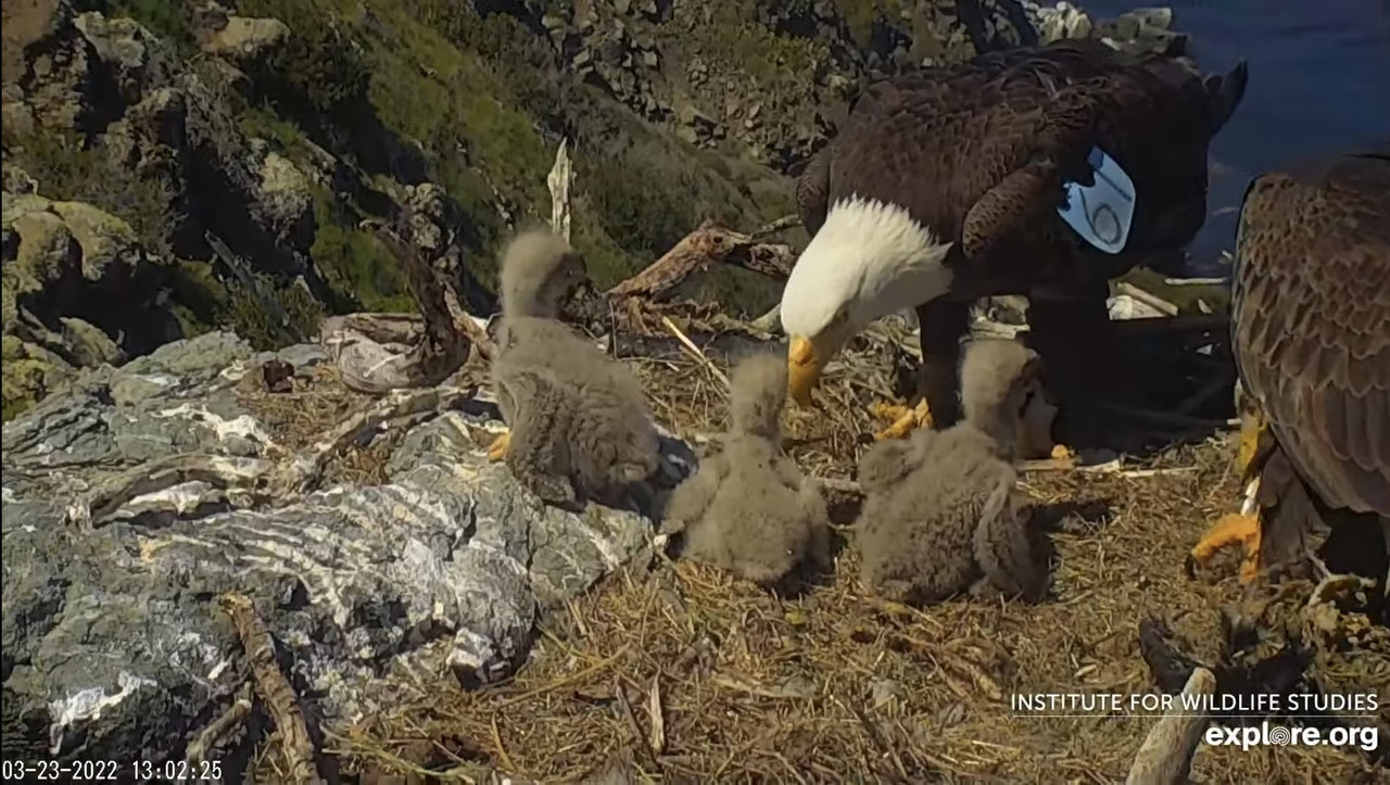 7E1DB802-D367-446E-8954-EF9B4319A3AE