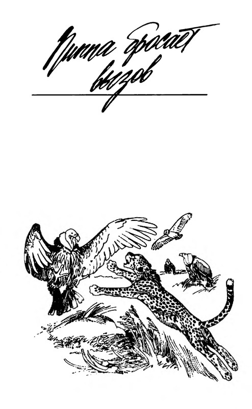 p0286