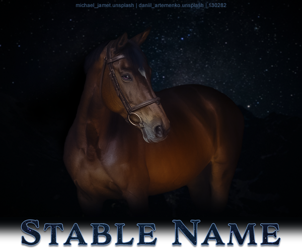 Starry-Bay-Bio.png