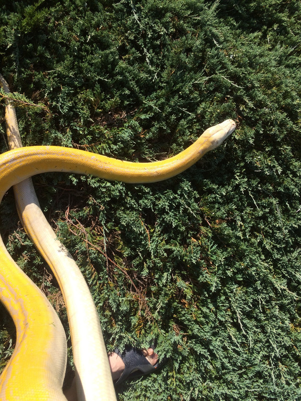 BD174E8C-30D8-4E10-A5A5-D433E0F486C0