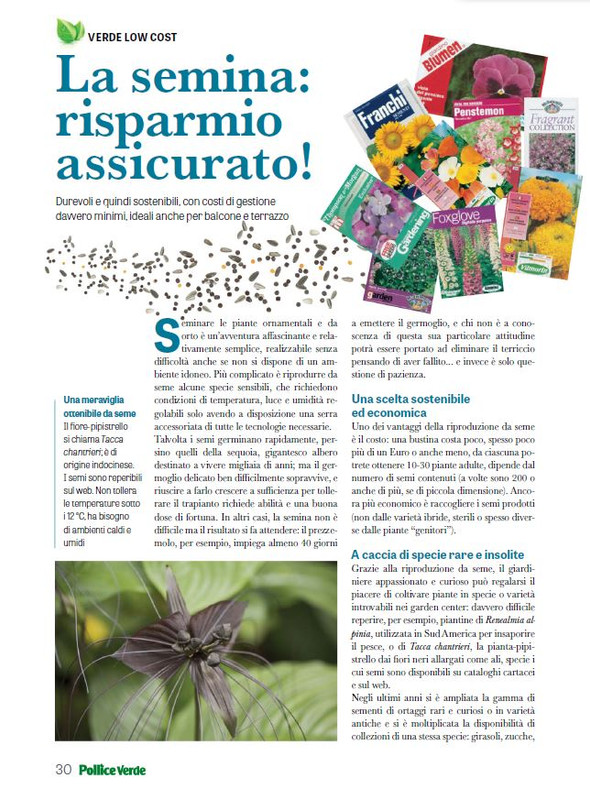 Pol Ver Feb 2024 (7)