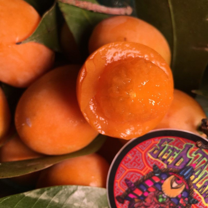 7CE14F9C-8DF5-48F6-A3D0-330E44C82E73