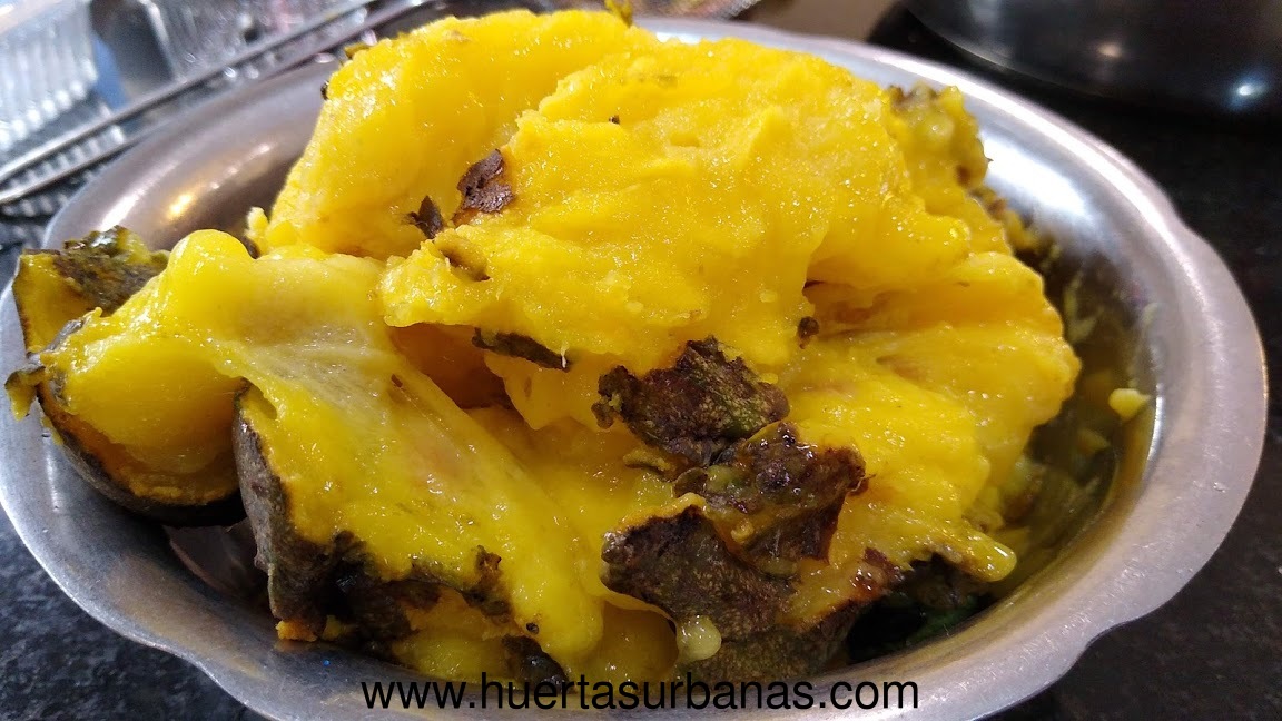 huertasurbanas_com_20200221_233000graviola_colonia_delicia-0