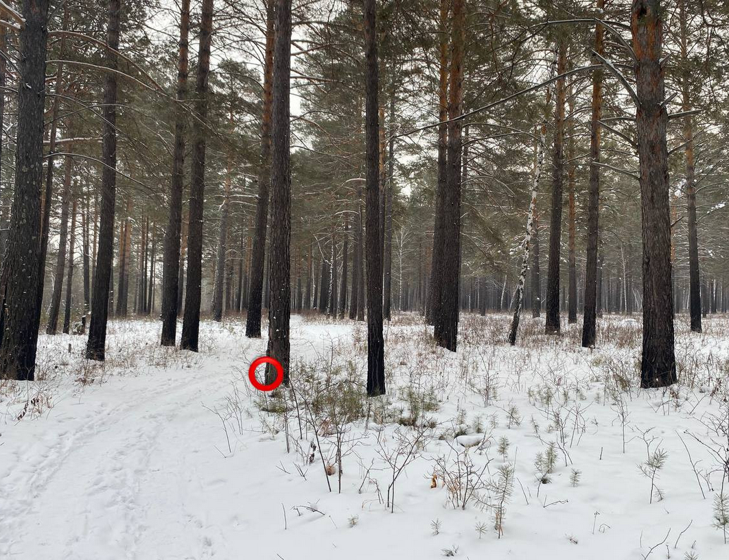 Screenshot From 2025 11 25 17 28 25