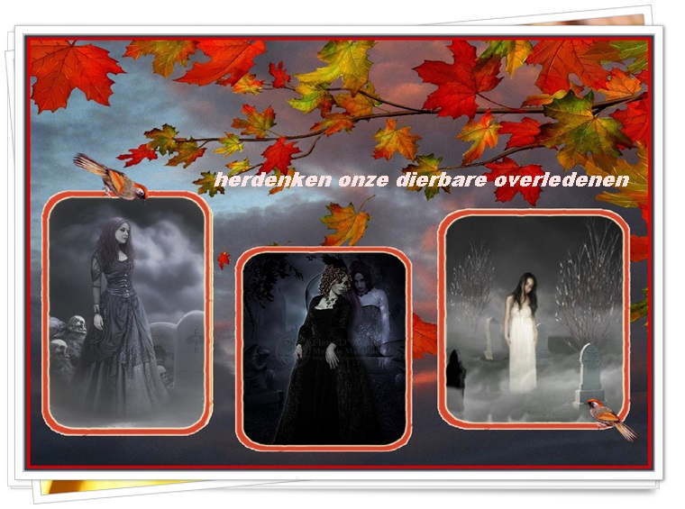 Klik op de afbeelding om de link te volgen