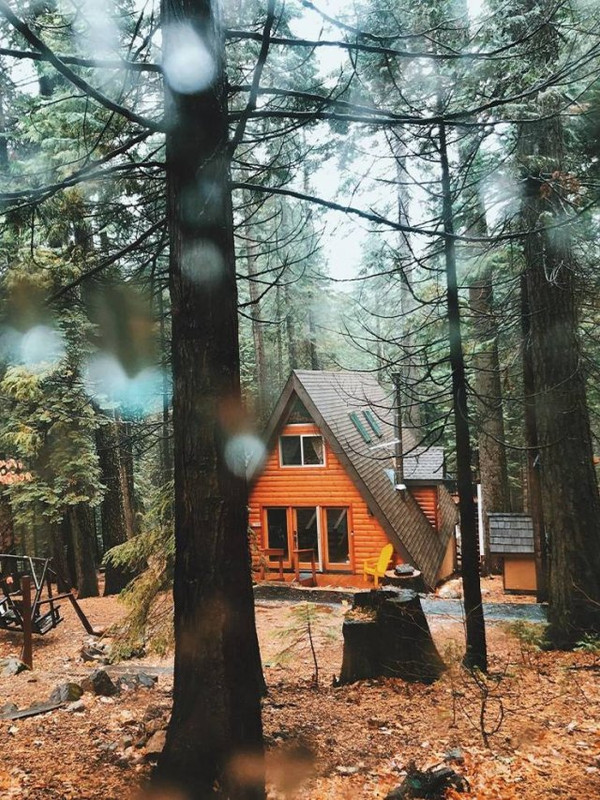 Cozy-20
