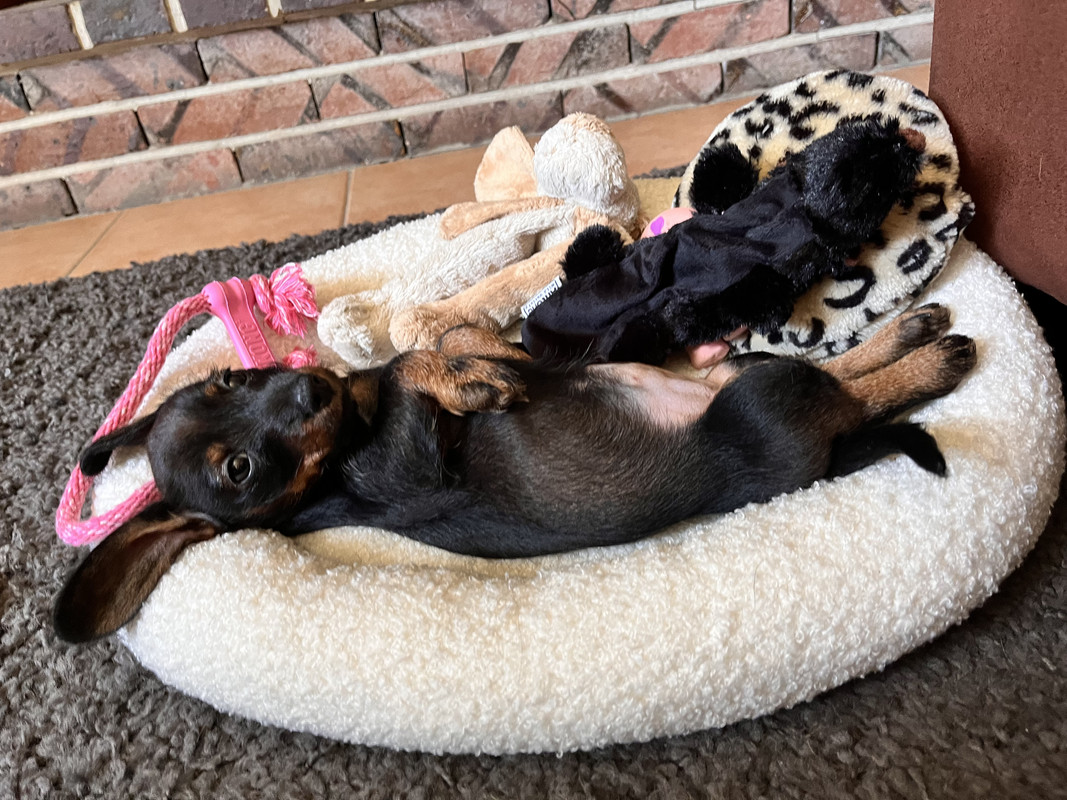 [Image: IMG-0481.jpg]