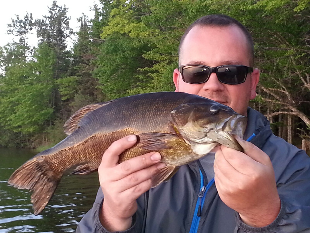 0C65DEE9-C239-4A61-AB6F-09B005A4966E