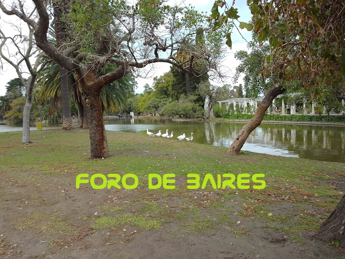 fotopalermogansos8