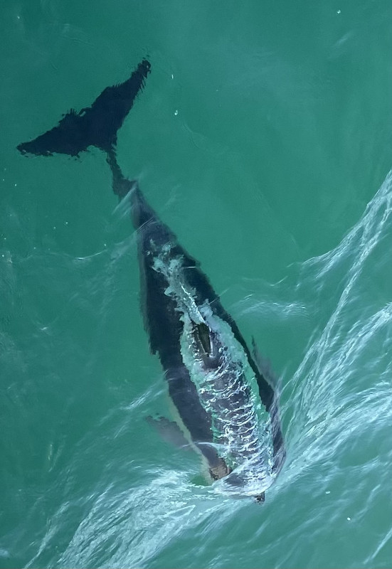 653A9615-7FF3-47F5-BC76-48D83C1736C5