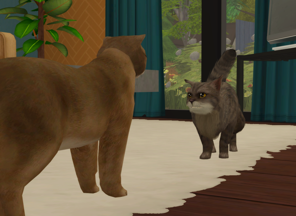 Sims2-EP9-RPC-2021-11-26-11-44-17-01