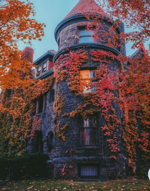 Screenshot_20230131_004658_Chrome