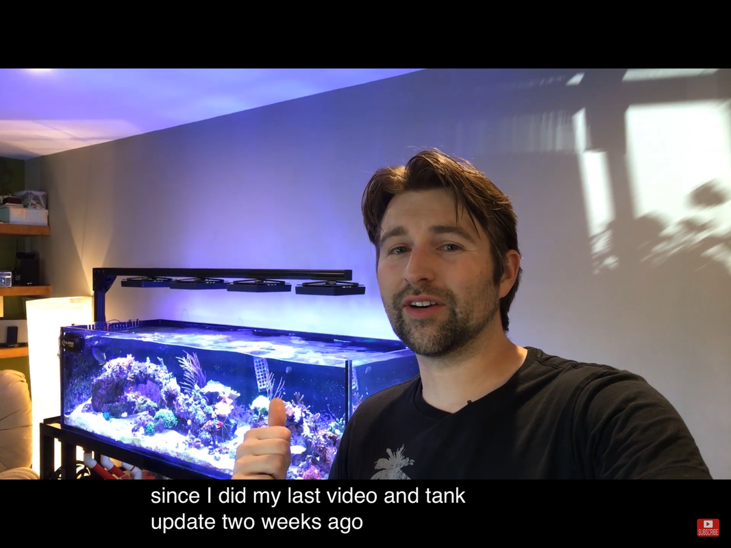 0689CA55-84BF-427F-BF68-0479BBEA8772