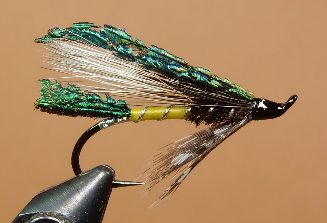 Pale-Rat-1080.jpg