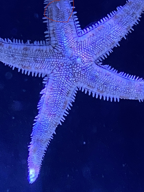 DB16695E-C618-4204-9079-BD7BB2C2E2E1