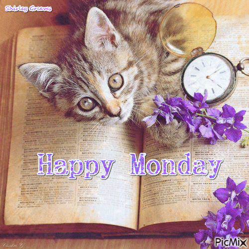 MONDAY-lundi-7